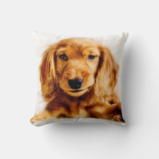 Cute Cocker Spain Puppy Cushion Kudde (Framsida)