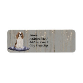 Cute Cocker Spain Sitta on Blue Cushion Returadress Etikett