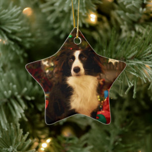 Cute Collie och Julgran Julgransprydnad Keramik