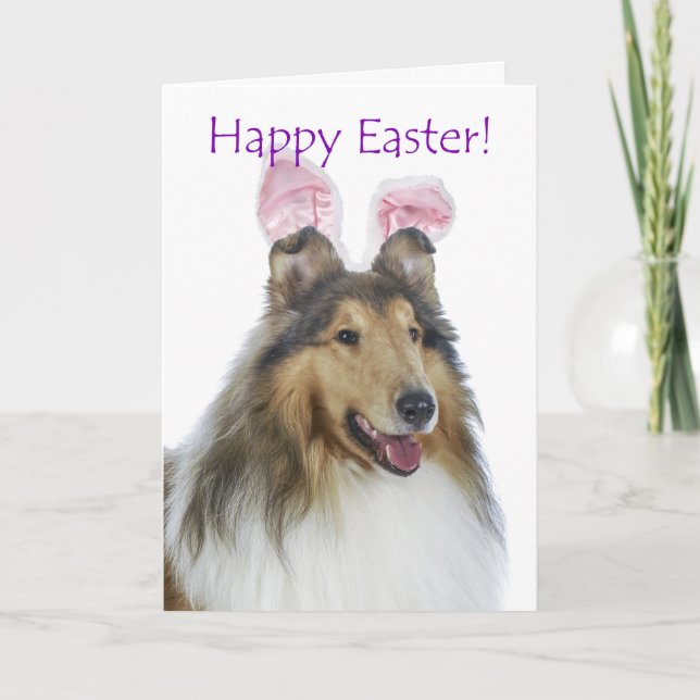 Cute Collie Påsk Card Helgkort (Framsida)