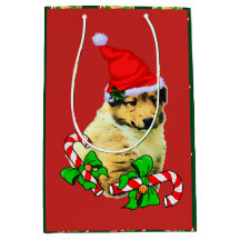 Cute Collie Puppy jul Merry