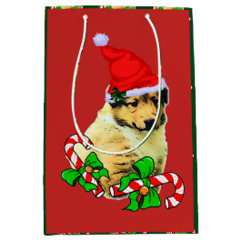 Cute Collie Puppy jul Merry