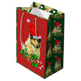 Cute Collie Puppy jul Merry