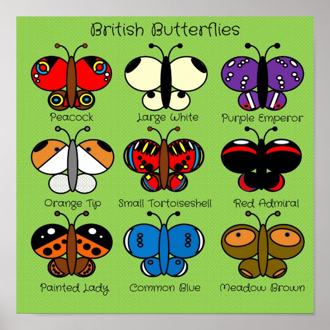 Cute Colorful British Butterfly Poster (Framsidan)