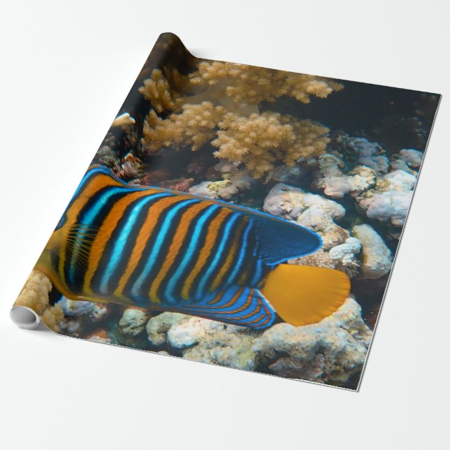 Cute Colorful Fish Presentpapper (Utrullad)