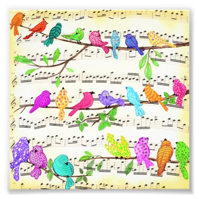Cute Colorful Musical Birds Poster (Framsidan)