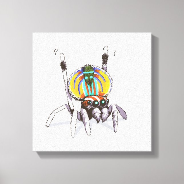 Cute Colorful Peacock Spider Teckning Art Canvas (Framsida)