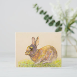 Cute colororent Bunny teckning art Helg Vykort