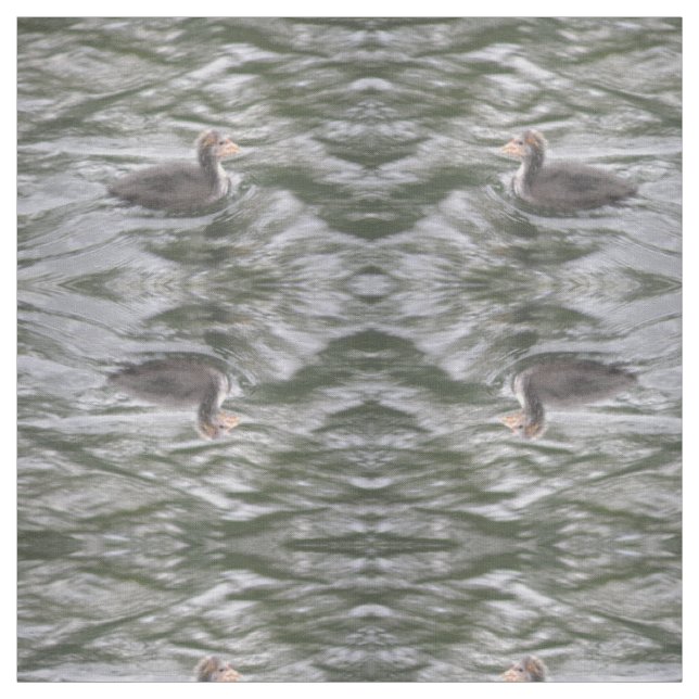 Cute Coot-Chick på Vatten-bemönstrade djur Tyg (Provkarta)
