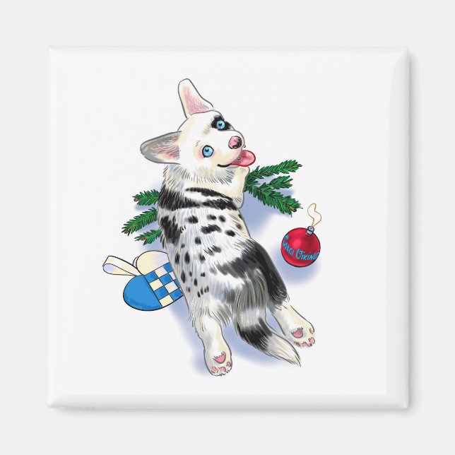Cute Corgi blue merle Magnet (Framsidan)