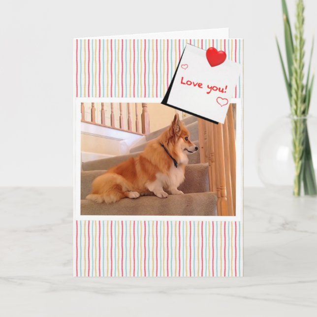 Cute Corgi Fluffy på Trappor Valentine Helgkort (Framsida)