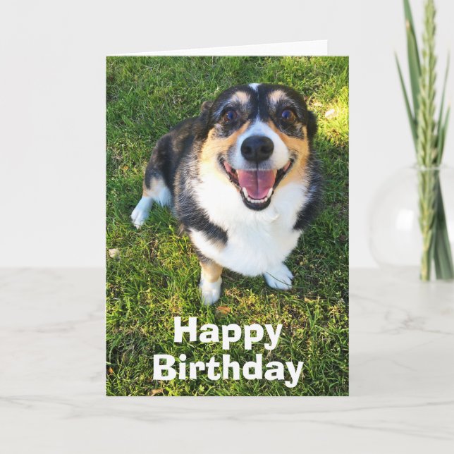 Cute Corgi-födelsedagen Kort (Framsida)