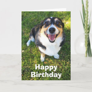 Cute Corgi-födelsedagen Kort