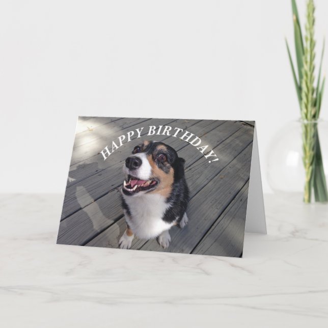 Cute Corgi Grattis på födelsedagen Kort (Framsida)