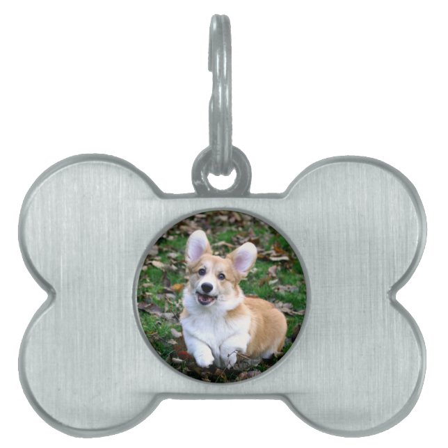 Cute Corgi Hund Leaping ID-bricka Husdjur (Framsidan)