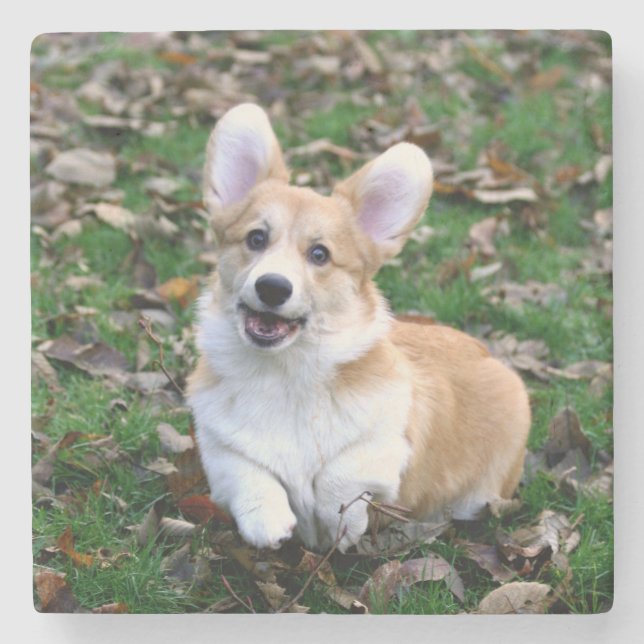 Cute Corgi Hund Leaping Stenunderlägg (Framsidan)