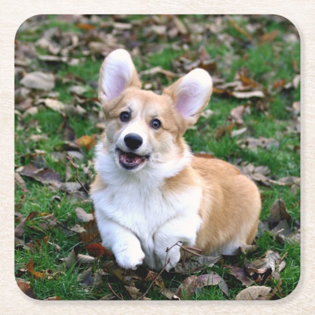Cute Corgi Hund Leaping Underlägg Papper Kvadrat (Framsidan)