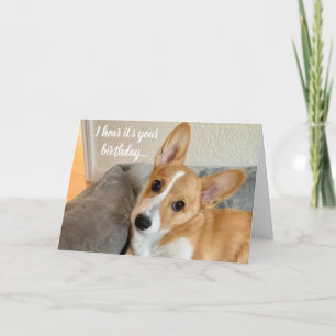 Cute Corgi Photo Rolig hund Älskare-födelsedagen Kort