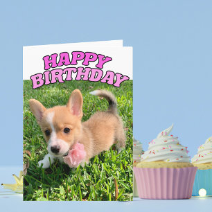 Cute Corgi Puppy-födelsedagskort Kort