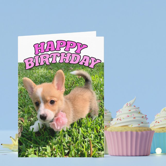 Cute Corgi Puppy-födelsedagskort Kort (Skapare uppladdad)