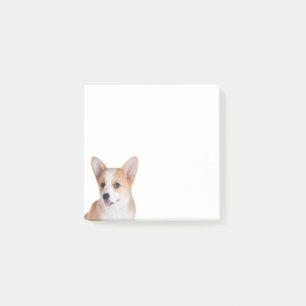 Cute Corgi Puppy Hund Pembroke Welsh Corgis Post-it Block