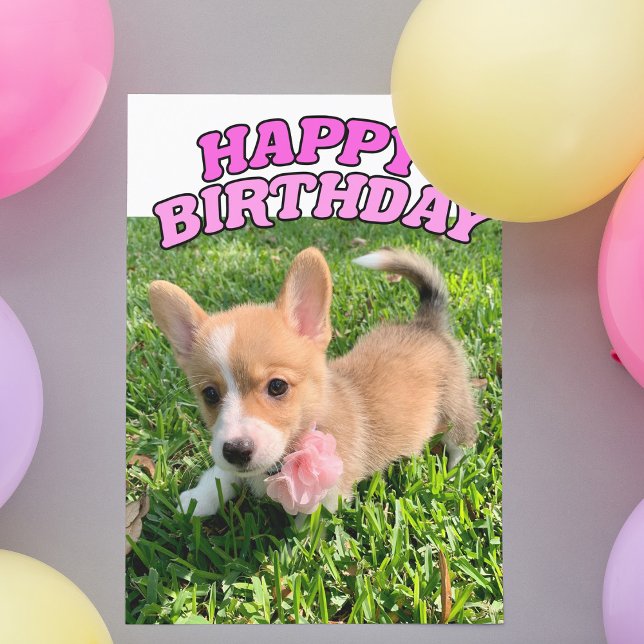 Cute Corgi Puppy Hund Photo Rosa Grattis på födels Kort (Skapare uppladdad)