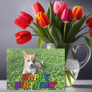 Cute Corgi Puppy Hund Photography Rainbow Birthday Kort