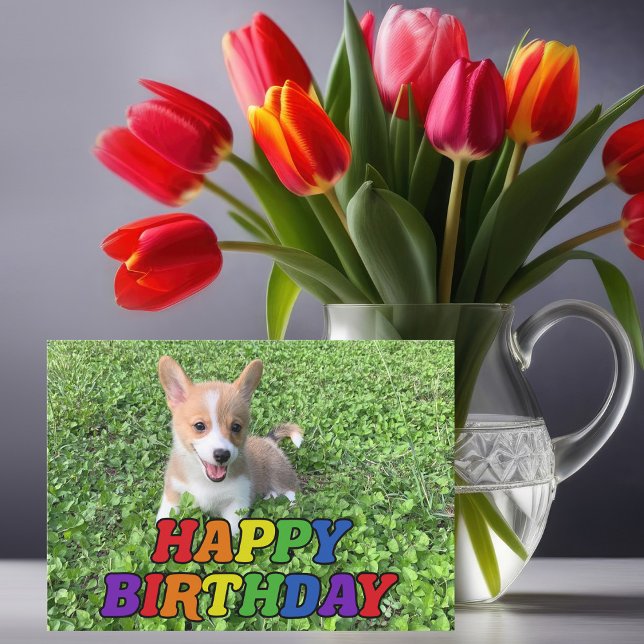 Cute Corgi Puppy Hund Photography Rainbow Birthday Kort (Skapare uppladdad)
