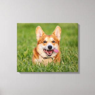 Cute Corgi som spelar i Grass Canvastryck