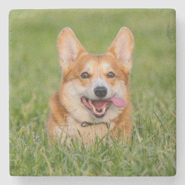 Cute Corgi som spelar i Grass Stenunderlägg (Framsidan)