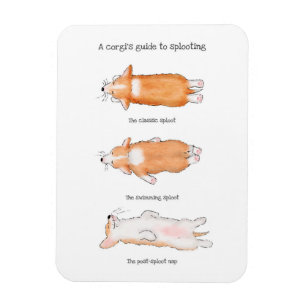 Cute Corgi-valsguide till splotningsmagnet Magnet