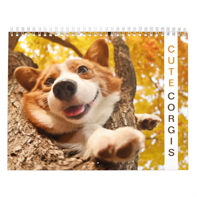 Cute Corgis! Doft / Hund Kalender (Omslag)