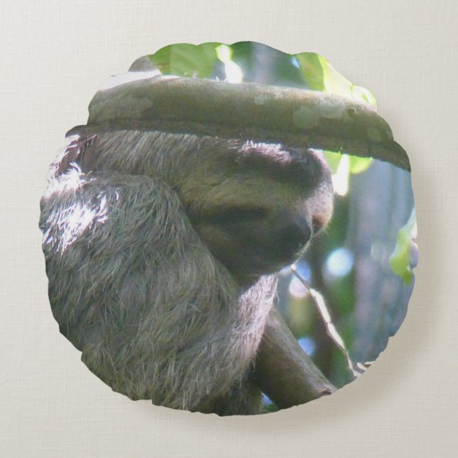 Cute Costa Rica Sloth Round Pillow Rund Kudde (Framsidan)