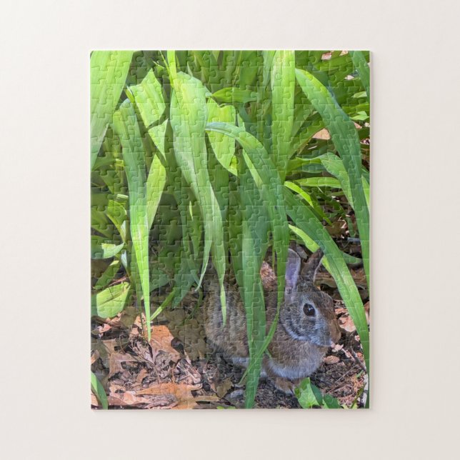Cute Cottontail Rabbit Sitta under Tiger Lily Pussel (Vertikal)