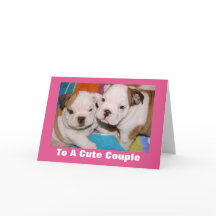 Cute Coule English Bulldog Puppies Valentine