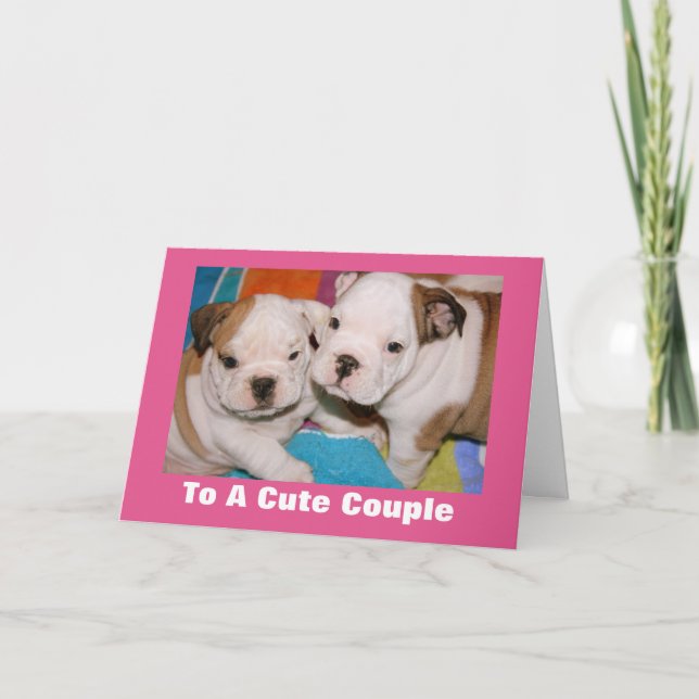 Cute Coule English Bulldog Puppies Valentine Helgkort (Framsida)