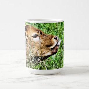 CUTE COW KAFFEMUGG