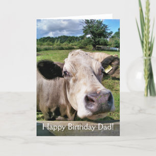 CUTE COW KORT