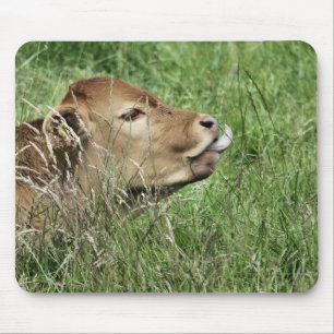 CUTE COW MUSMATTA