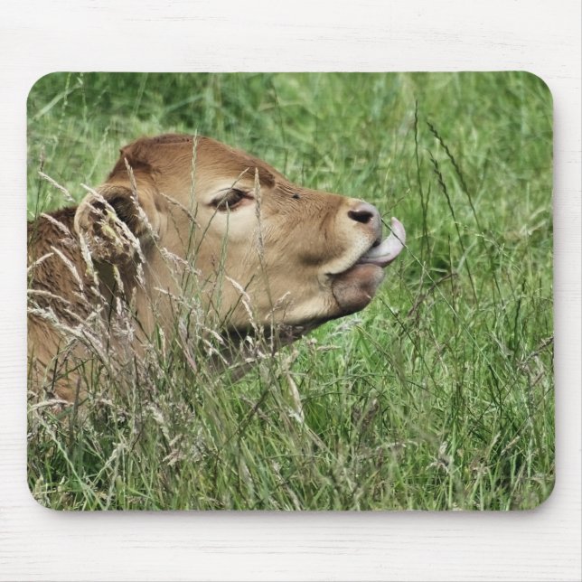 CUTE COW MUSMATTA (Framsidan)