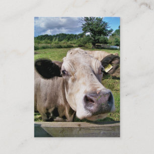 CUTE COW VISITKORT
