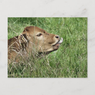 CUTE COW VYKORT