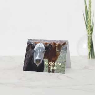 Cute Cows - Western förändring av Adress Meddelande