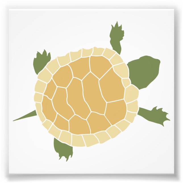 Cute Crawling Little Turtle Tortoise Fototryck (Framsidan)
