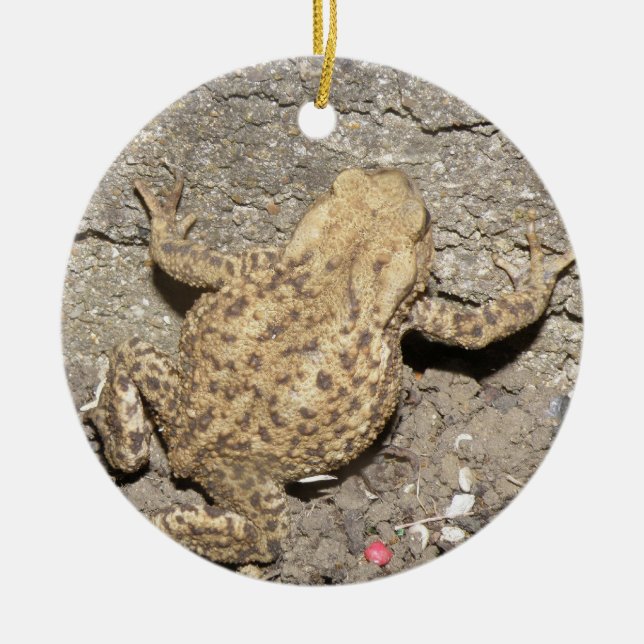 Cute Crawling Toad Anpassningsbar Birthday Julgransprydnad Keramik (Framsidan)