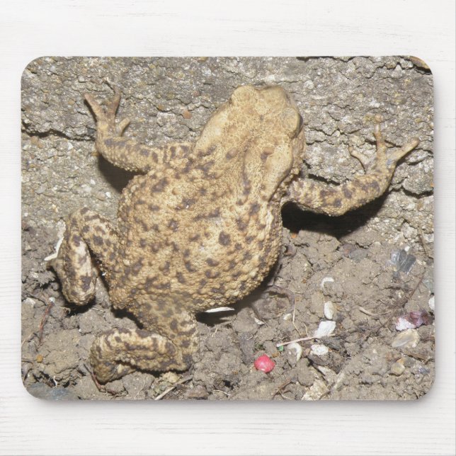Cute Crawling Toad Mousepad Musmatta (Framsidan)
