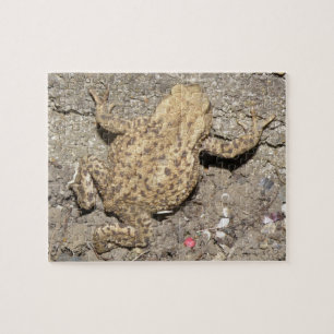 Cute Crawling Toad Puzzle Pussel