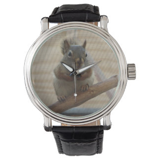 Cute Crouching Squirrel på Gren Armbandsur