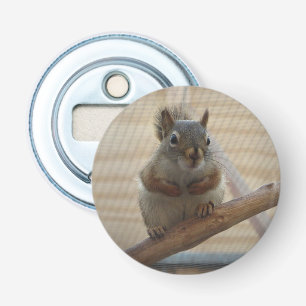 Cute Crouching Squirrel på Gren Flasköppnare