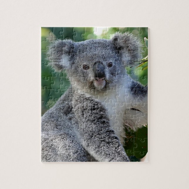 Cute cudely Australian koala Pussel (Vertikal)